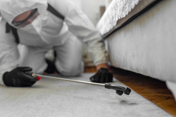 Professional Wasp Control technician working in Watford City, ND
