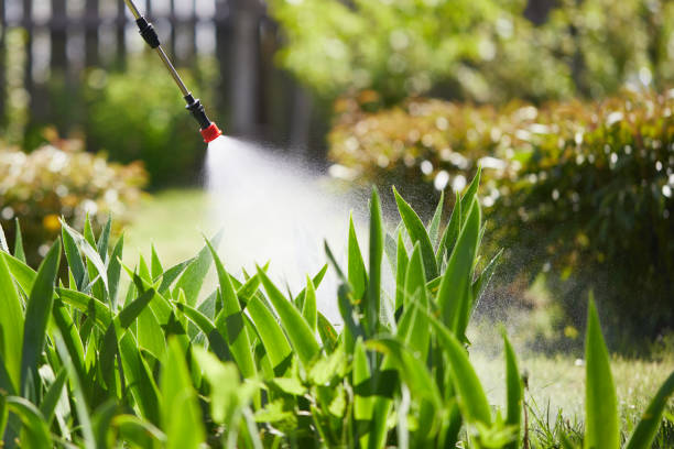 24/7 Emergency Rodent Control experts in Watford City, ND